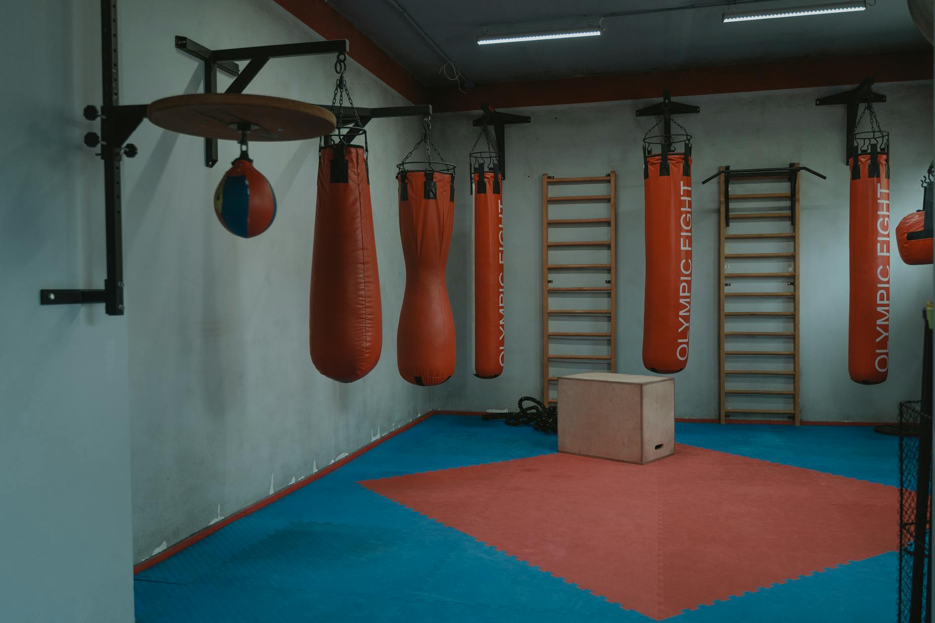Vulturestrength Fitness Club contact